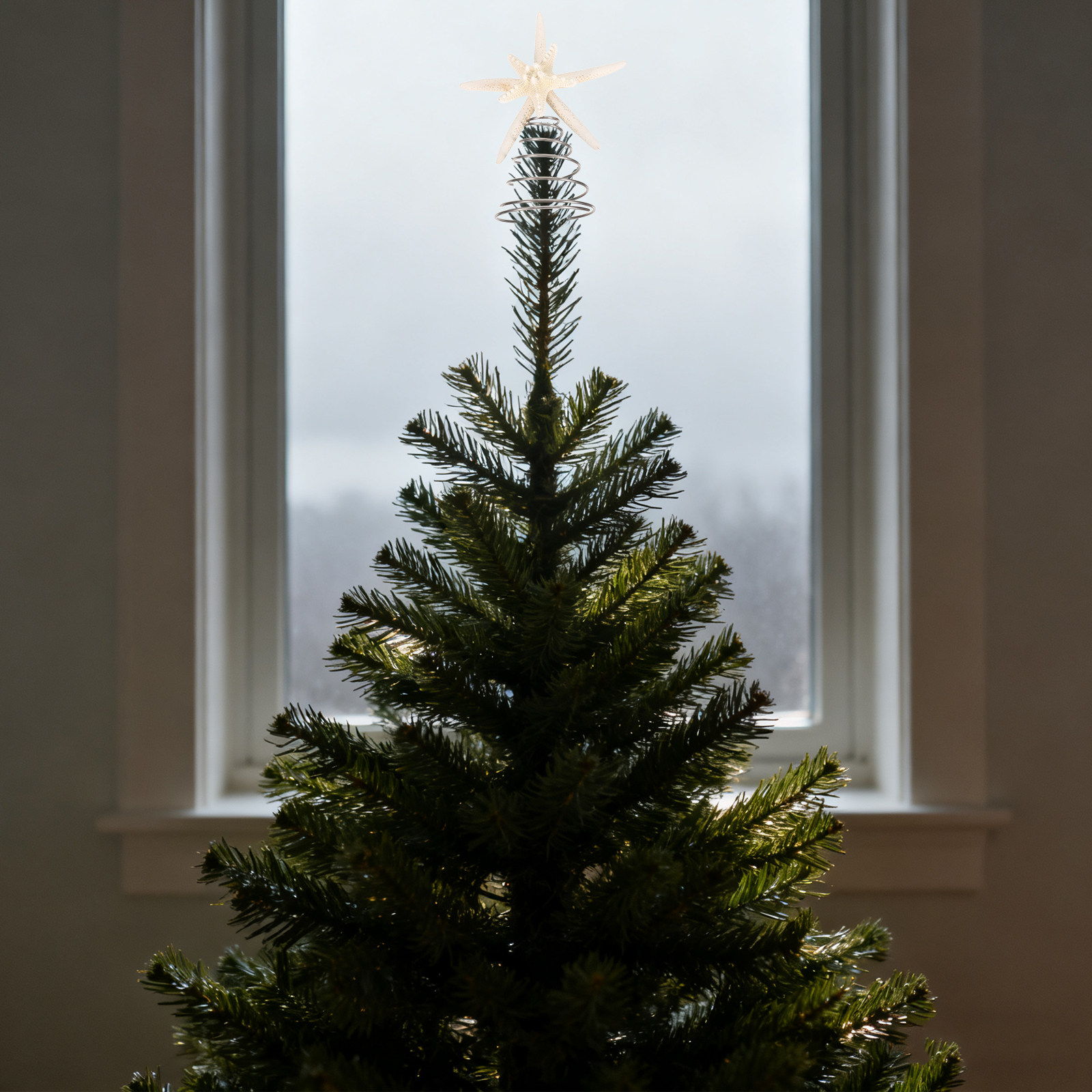 Star Tree Topper - Kıyı Şeheri Noel Ağacı Tepesi Deniz